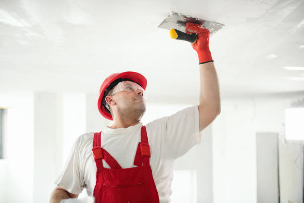 Professional Drywall & Painting Services in Cornersville, TN